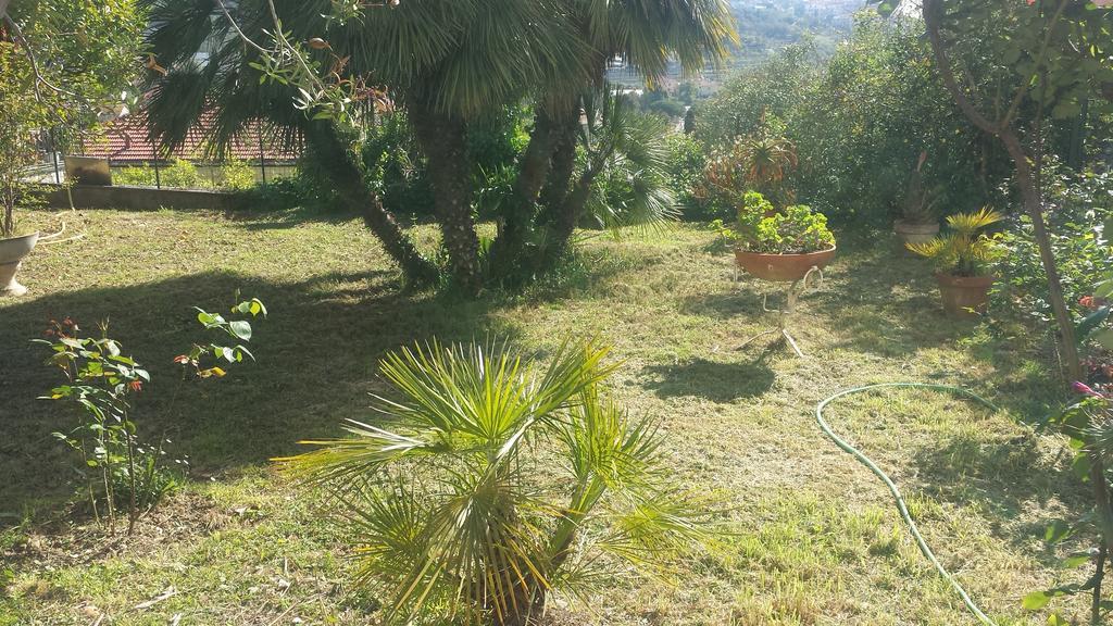 Il Poggio Di Poiolo Lägenhet San Bartolomeo Al Mare Exteriör bild